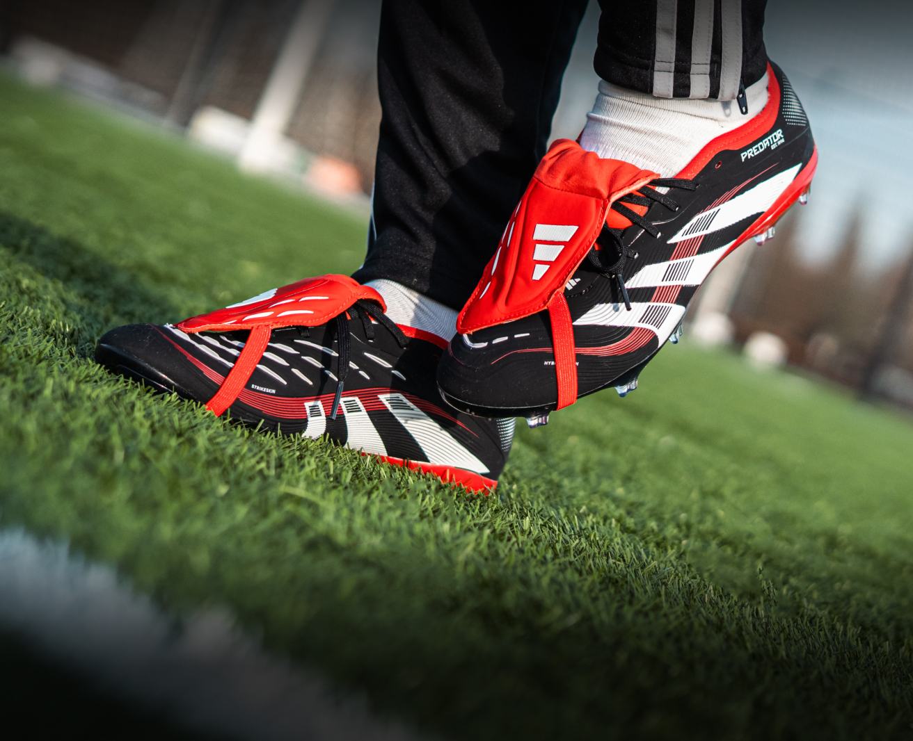adidas Predator
