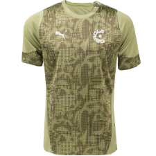 PUMA Cercle Brugge Trainingsshirt 2025-2026 Groen