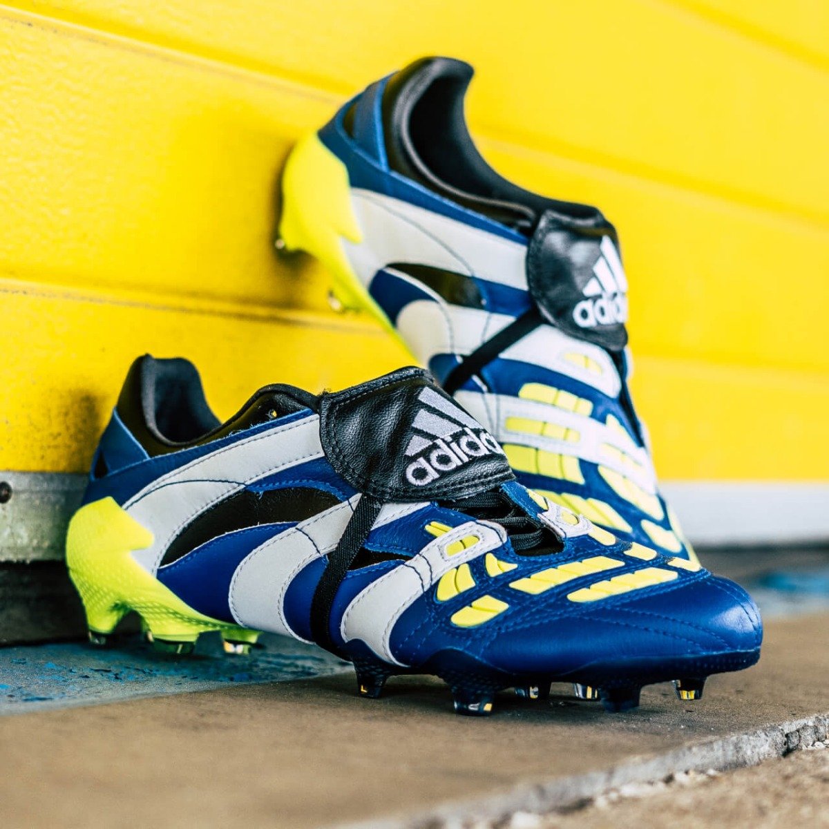 adidas predator accelerator calcio