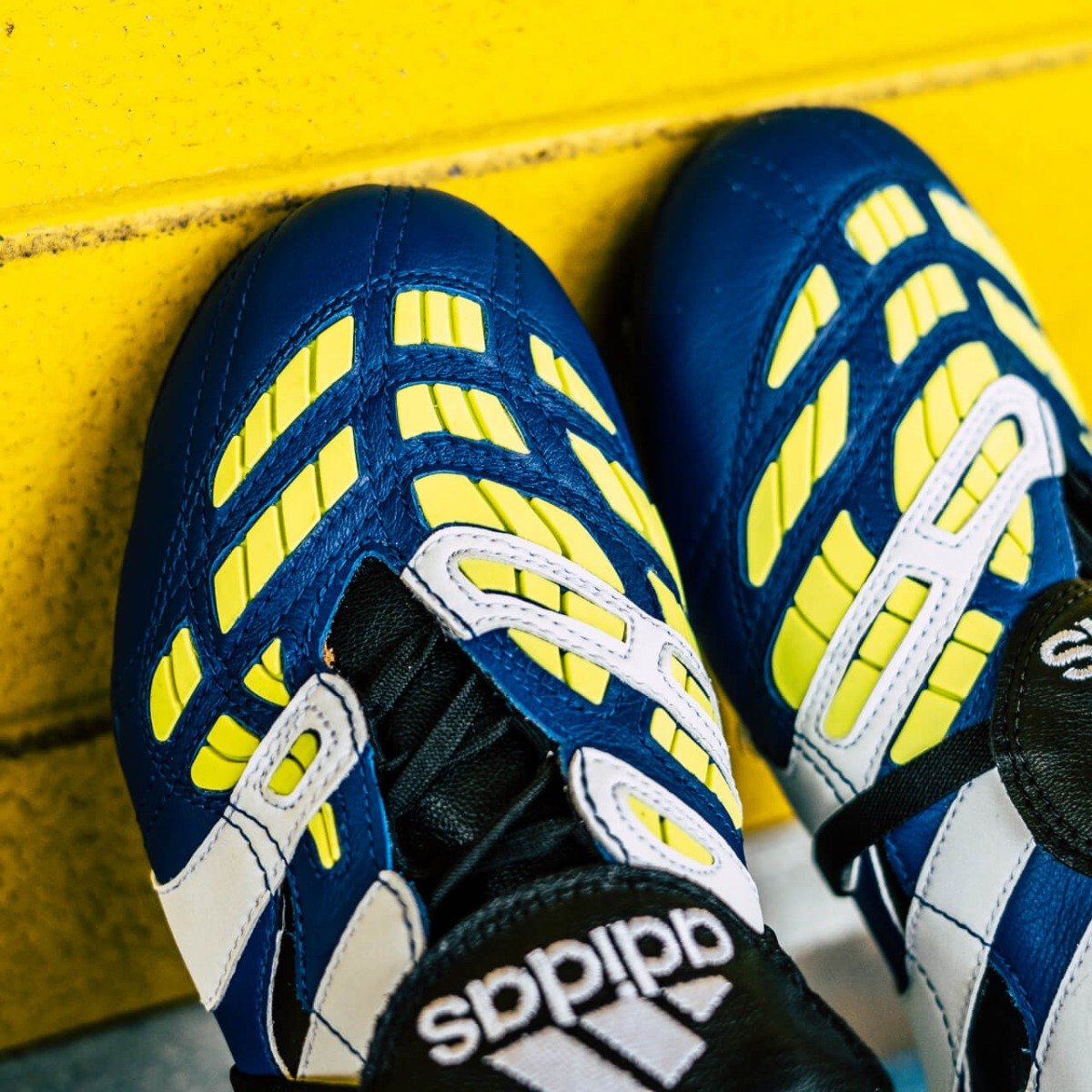 adidas predator accelerator calcio