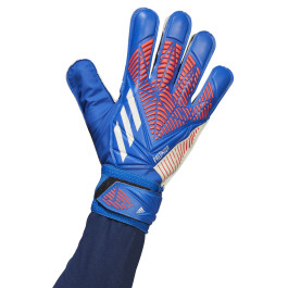 Gants de Gardien Bleu/Rouge Homme Adidas Predator GL TRN Bleu - Cdiscount  Sport