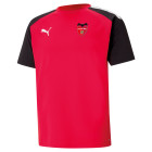 NSV 46 Trainingsshirt Rood Senior