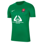 Alexandria 66 Keepersshirt Senior KM Groen