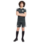 Nike Chelsea Strike Trainingsset 2025-2026 Kids Donkergroen Wit