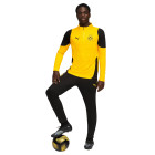 PUMA Borussia Dortmund Trainingspak 1/4-Zip 2025-2026 Geel Zwart