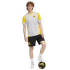 PUMA Borussia Dortmund Trainingsset 2025-2026 Zilver Zwart Geel