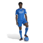 $tmpl_modelinfo[186,"M"]