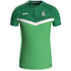 KFC Heist Polo Groen