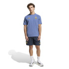 $tmpl_modelinfo[186,"M"]