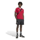 $tmpl_modelinfo[184,"M"]