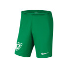 VV 't Goy Keepersshort Senior Groen