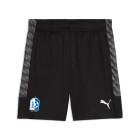 RKDVC Trainingsshort Senior Zwart