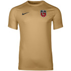 DTA Uitshirt Goud