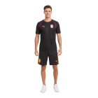 Kit d'entraînement PUMA Galatasaray SK 2026-2027 gris foncé rouge