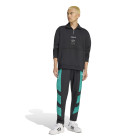 $tmpl_modelinfo[185,"M"]