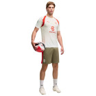 Kit d'entraînement PUMA AC Milan 2026-2027 gris clair vert foncé rouge