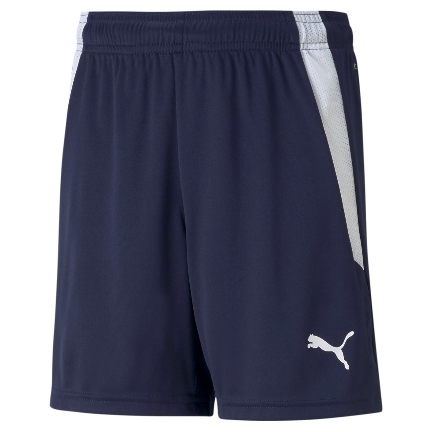 PUMA teamLIGA Voetbalbroekje Kids Donkerblauw Wit