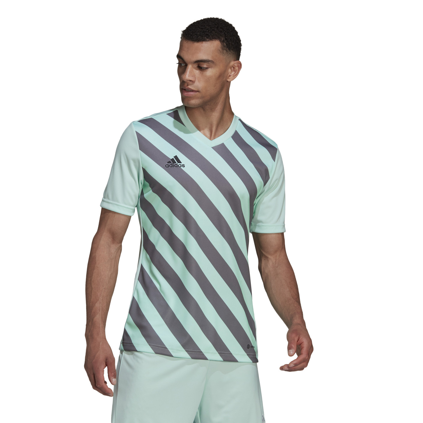 adidas Entrada 22 Graphic Maillot d'Entraînement Vert Clair Gris