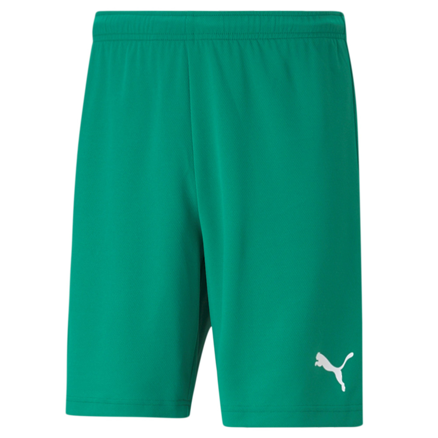 PUMA teamRISE Short de Football Vert