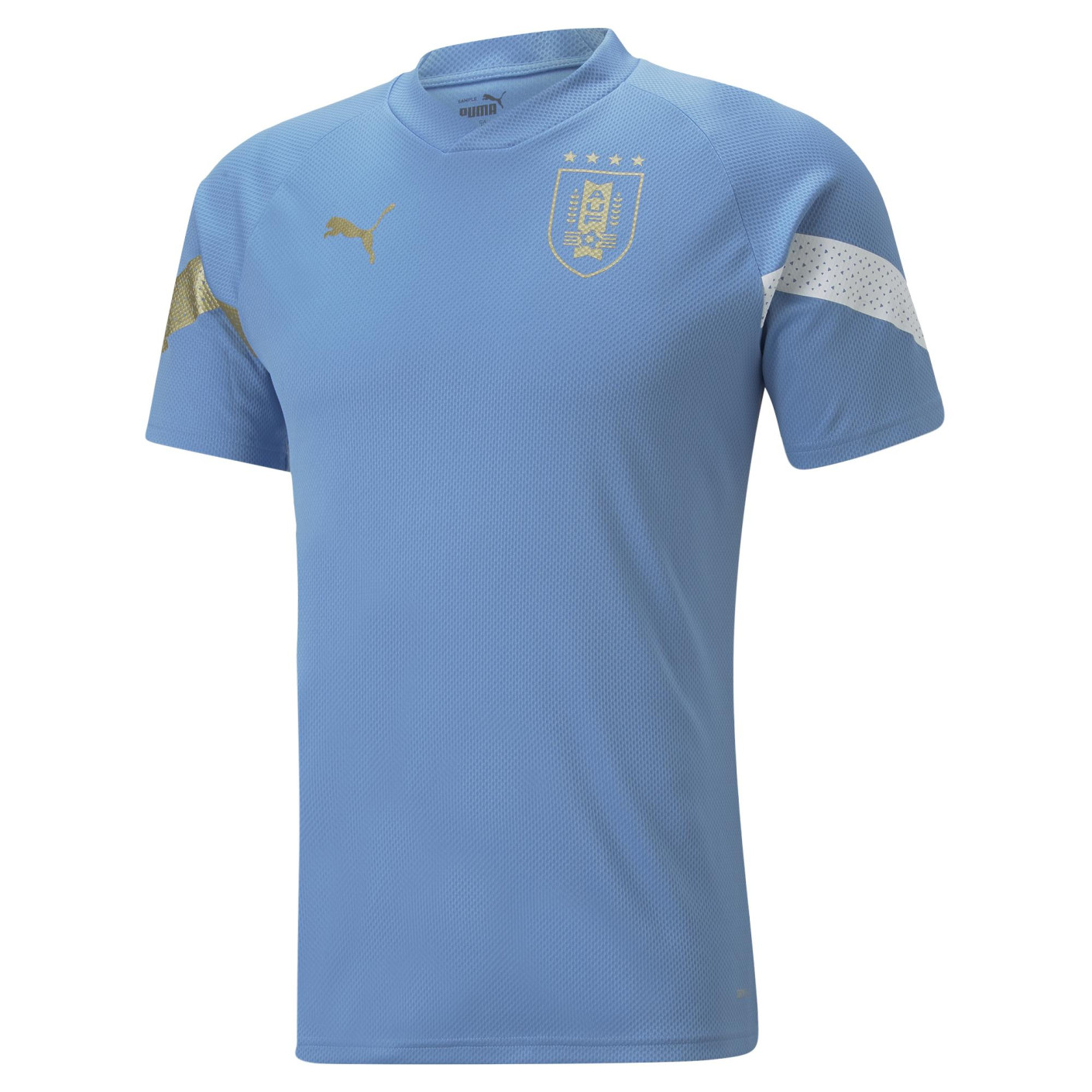 PUMA Uruguay Maillot d'Entraînement 2022-2024 Argent Bleu Blanc