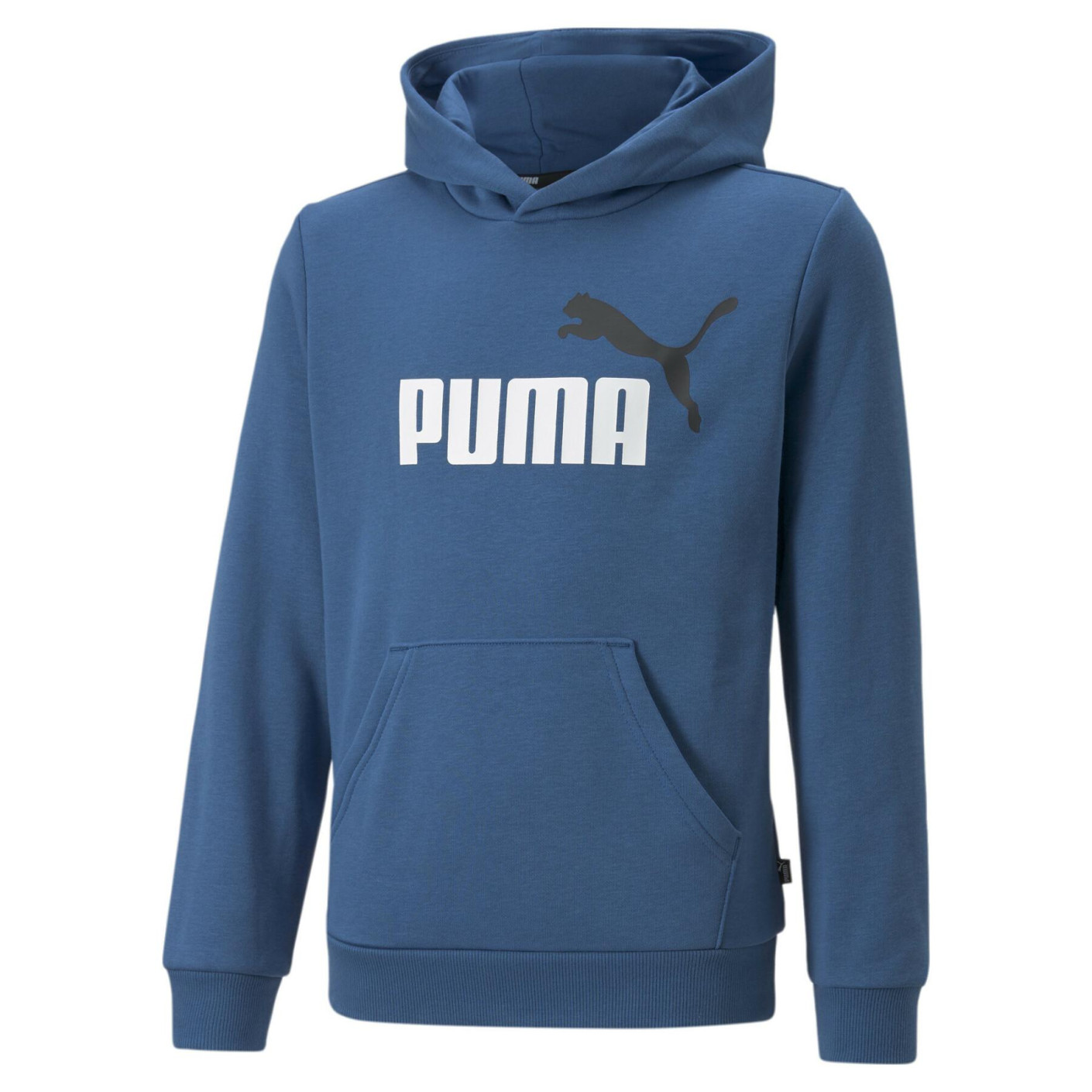 Sweat à capuche Puma Essentials+ 2 College Big Logo Fleece Enfants Bleu