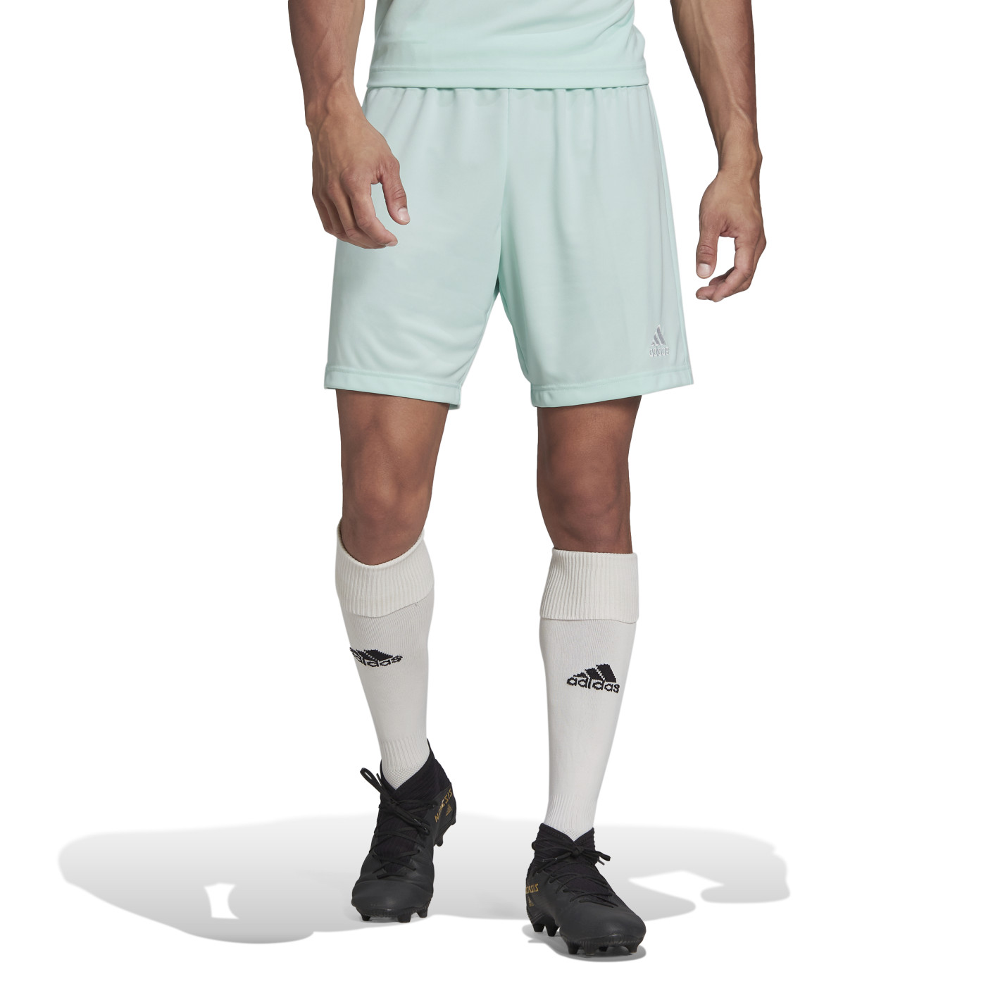 adidas Entrada 22 Short de Football Vert Menthe