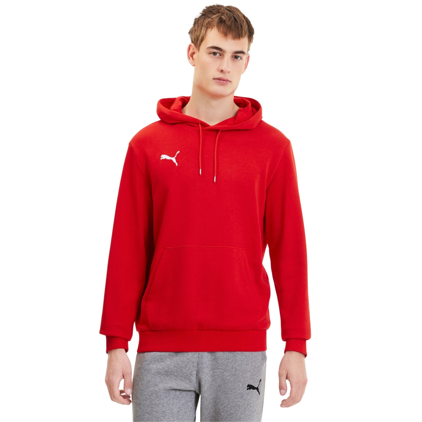 Chandail à capuche PUMA TeamGoal 23 Casuals rouge