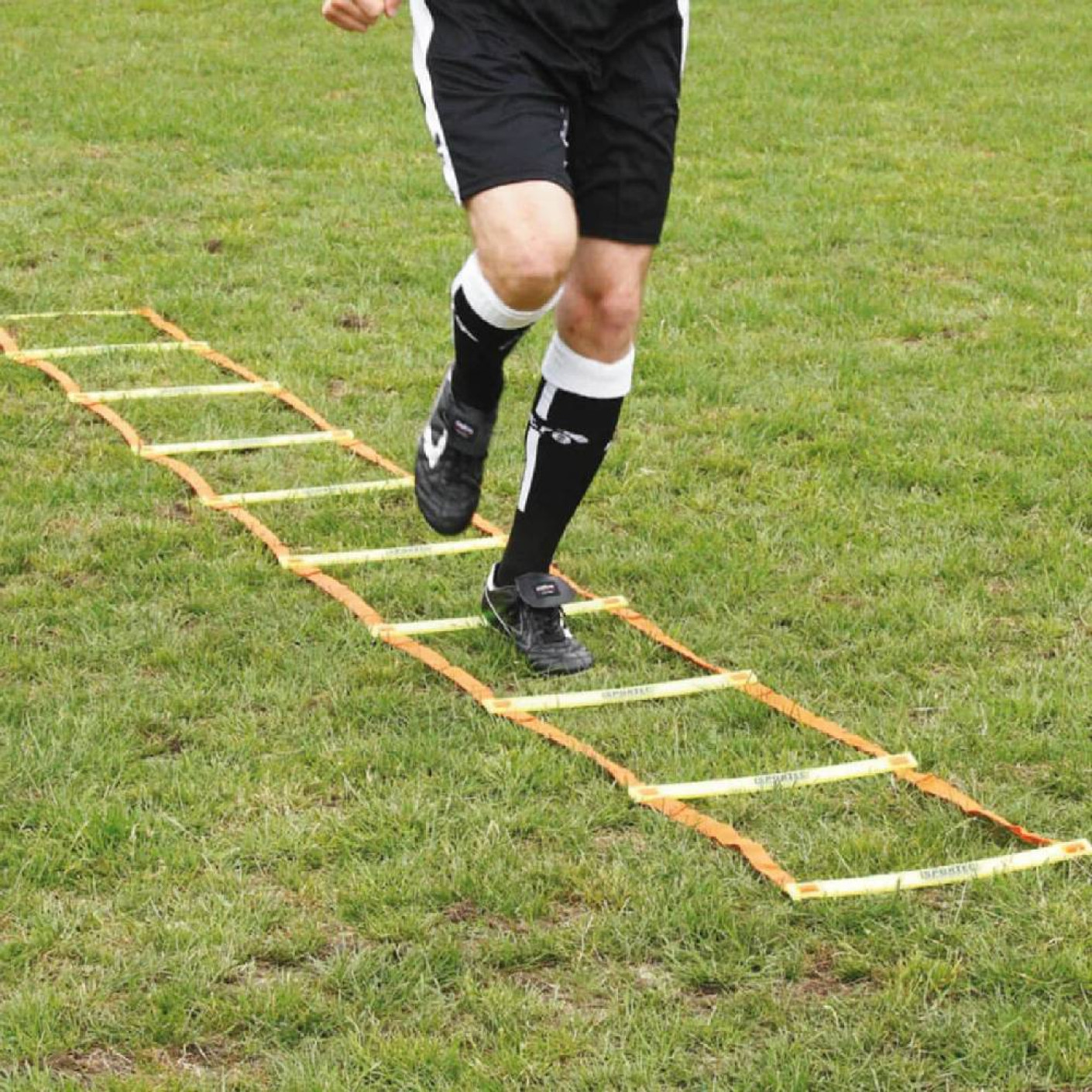 Échelle d'entraînement Sportec prof 6M