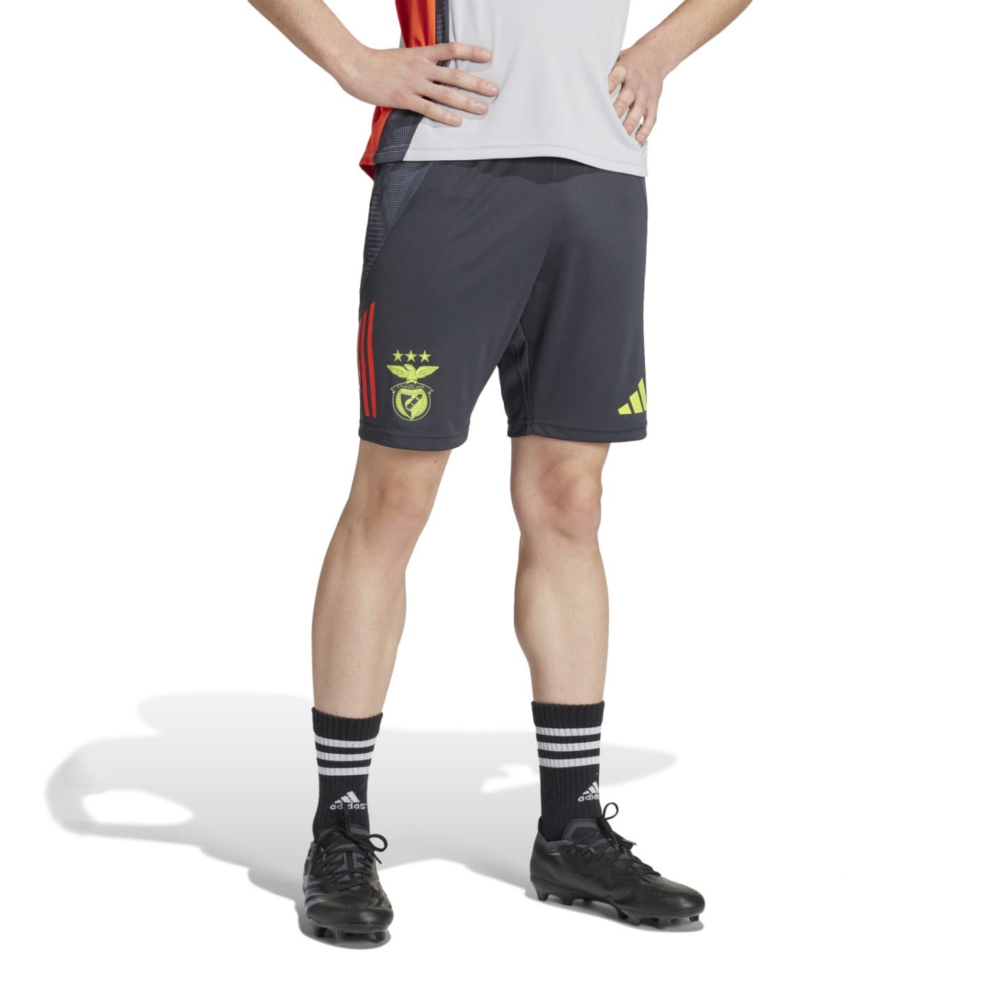 adidas SL Benfica Short d'Entraînement 2024-2025 Gris Foncé