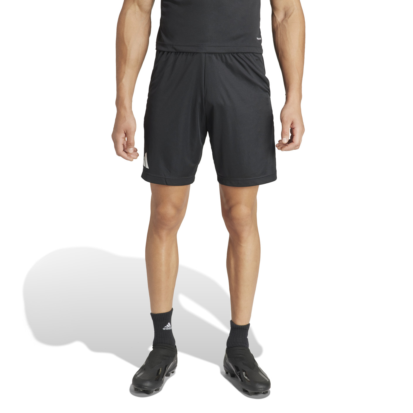 Short d'arbitre adidas Referee 24 noir et blanc