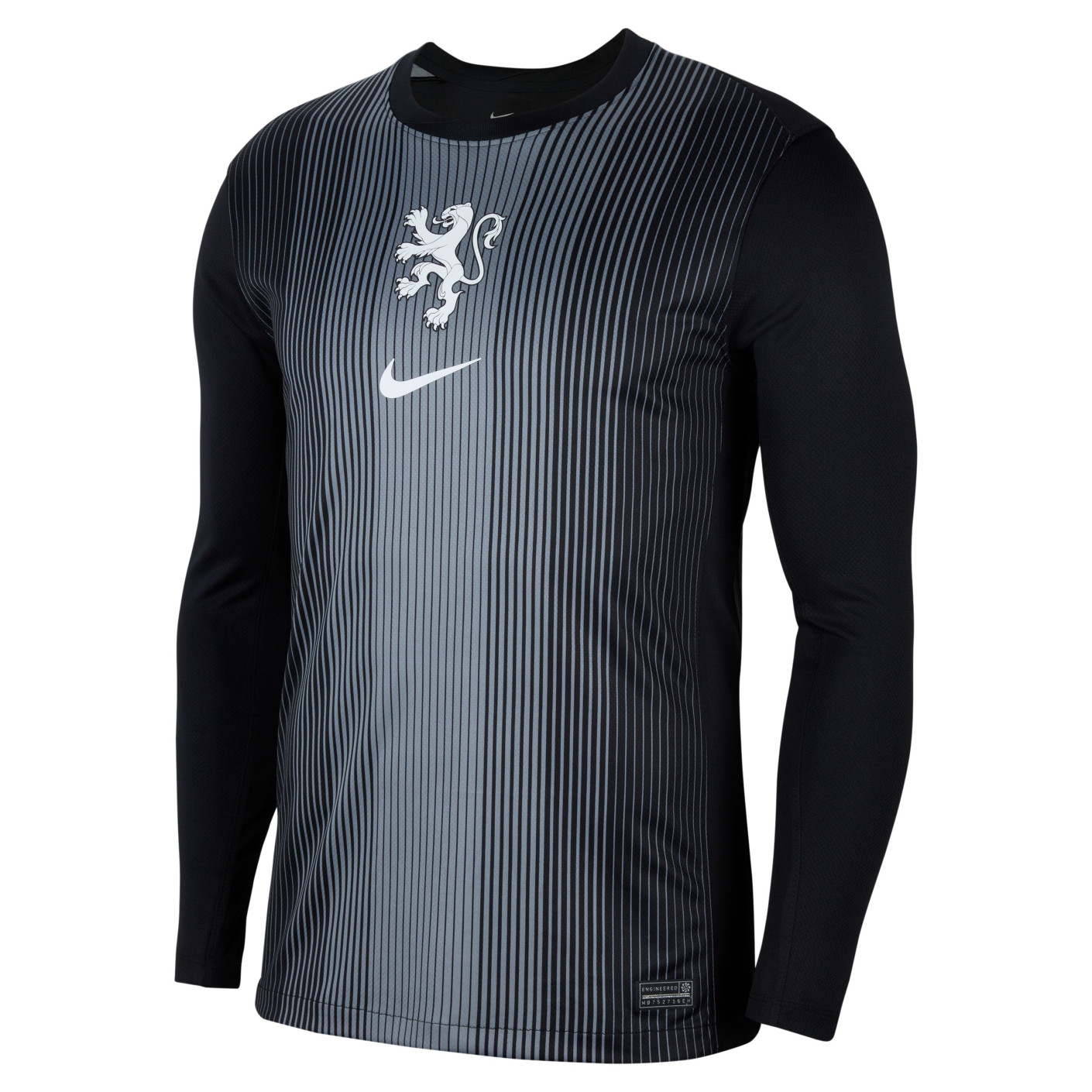 Nike Pays-Bas Lionnes Maillot de Gardien de But Manches Longues 2025-2027 Hommes Noir