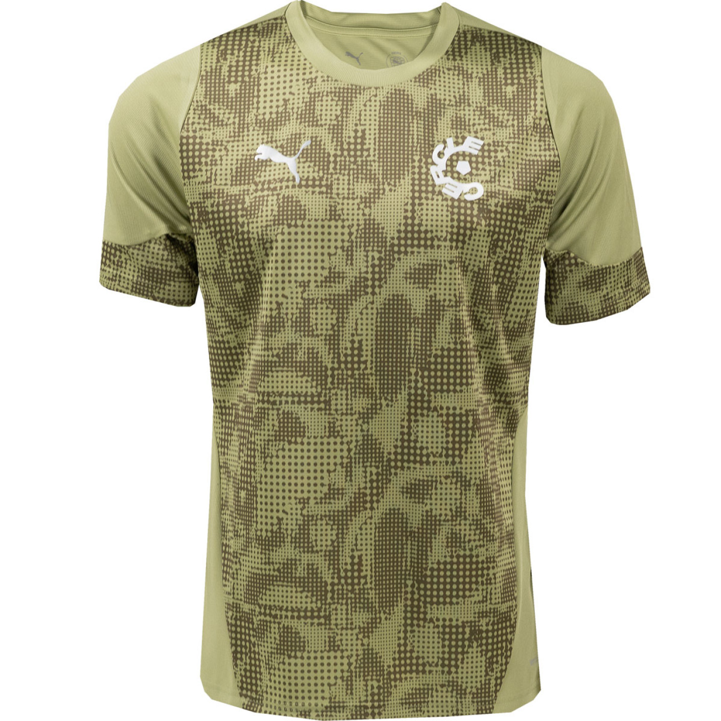 PUMA Cercle Bruges Maillot d'Entraînement 2025-2026 Vert