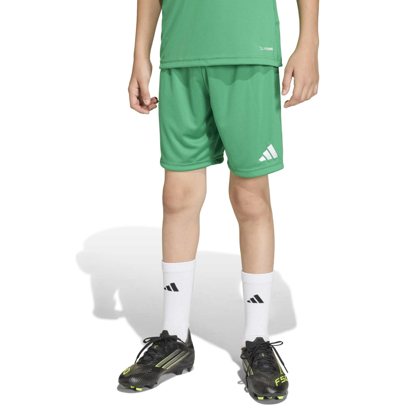 Short de football adidas Entrada 26 pour Enfants, vert et blanc