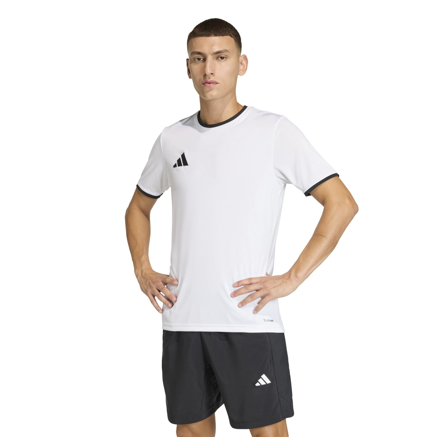 adidas Entrada 26 Voetbalshirt Wit Zwart