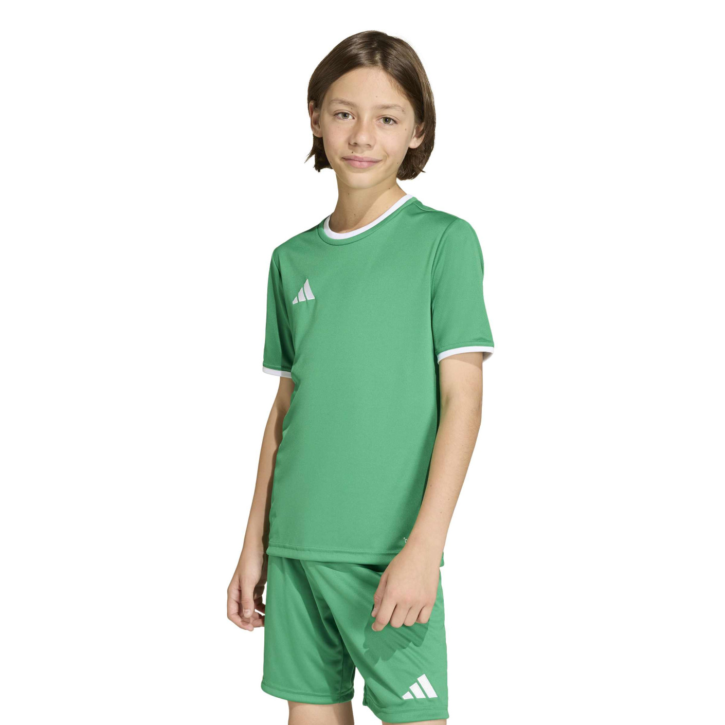 adidas Entrada 26 Voetbalshirt Kids Groen Wit