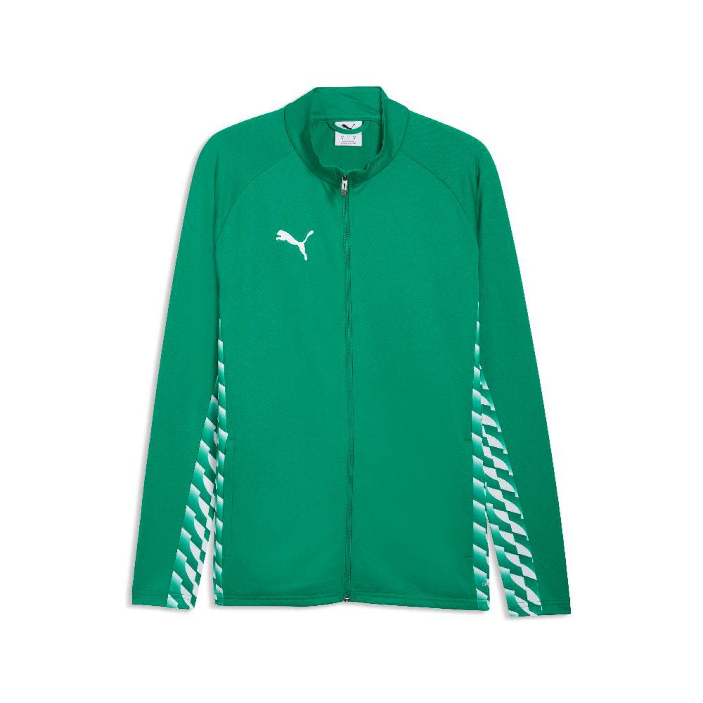 Veste d'entraînement PUMA TeamLiga26 verte