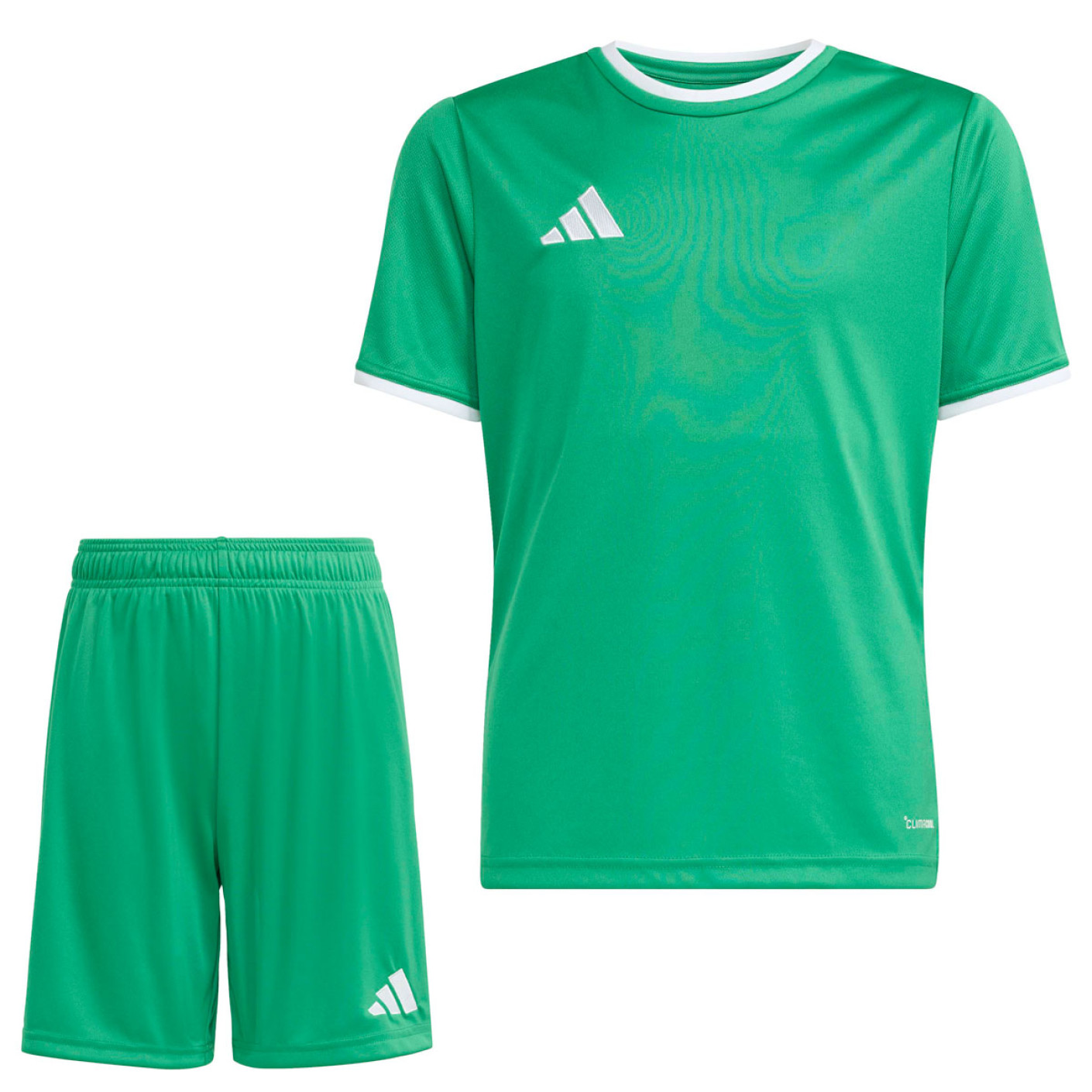 Kit de football adidas Entrada 26 pour Enfants, vert et blanc