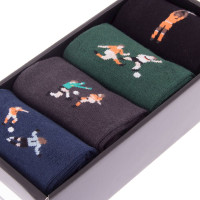 Coffret Chaussettes Holland Casual Iconic