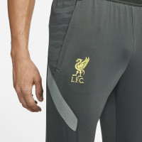 Nike Liverpool Strike Pantalon d'Entraînement 2021-2022 Gris Foncé Jaune