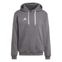 adidas Entrada 22 Sweat Hoodie Grijs Wit