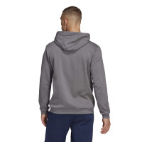 adidas Entrada 22 Sweat Hoodie Grijs Wit
