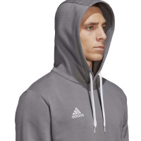 adidas Entrada 22 Sweat Hoodie Grijs Wit
