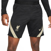 Nike Liverpool Strike Short d'Entraînement 2021-2022 Noir Gris Clair