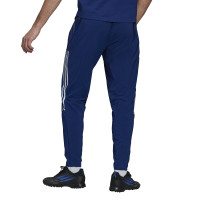 Pantalon de jogging bleu tissé Adidas Real Madrid