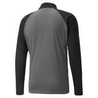 PUMA teamLIGA Veste d'Entraînement Gris Blanc