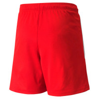 PUMA teamLIGA Short Football Enfants Rouge Blanc