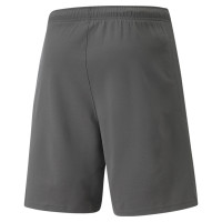 PUMA teamRISE Short Football Gris Blanc