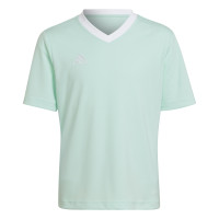 adidas Entrada 22 Maillot de Foot Enfants Vert Menthe Blanc