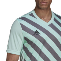 adidas Entrada 22 Graphic Maillot d'Entraînement Vert Clair Gris