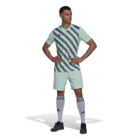 adidas Entrada 22 Graphic Maillot d'Entraînement Vert Clair Gris